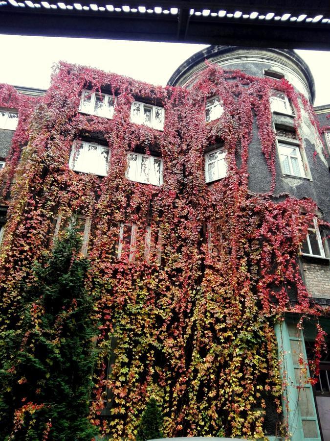 바이톰 Bristol Economy B&B 외부 사진